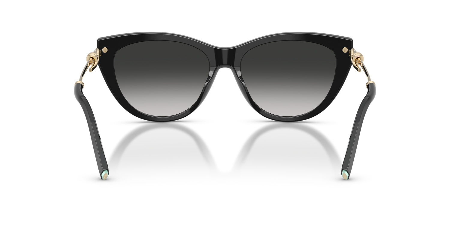 TIFFANY TF4253 80013C 55