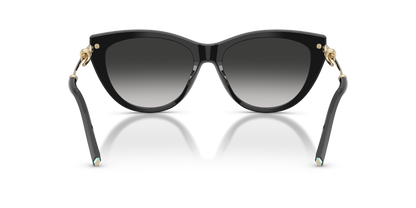 TIFFANY TF4253 80013C 55