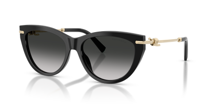 TIFFANY TF4253 80013C 55