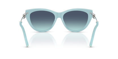 TIFFANY TF4253 80559S 55