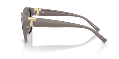 TIFFANY TF4254U 840187 56