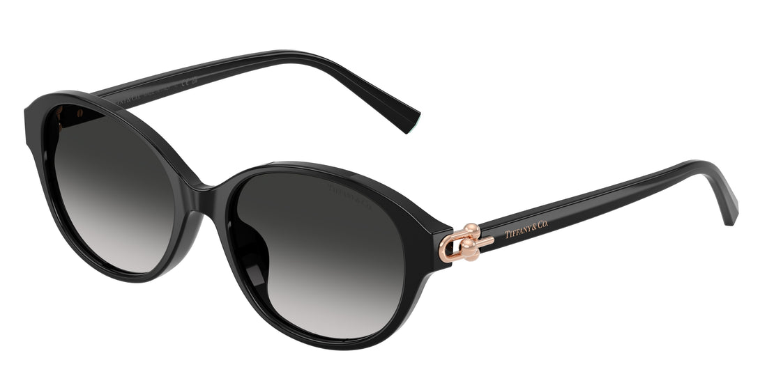 Lunettes de soleil tiffany tf4263d 80013c negro round femenina taille 54mm - Vue principale