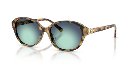 TIFFANY TF4263D 80649S 54
