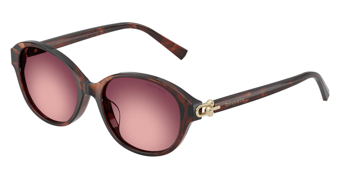 Lunettes de soleil tiffany tf4263d 84218h marron round femenina taille 54mm - Vue principale