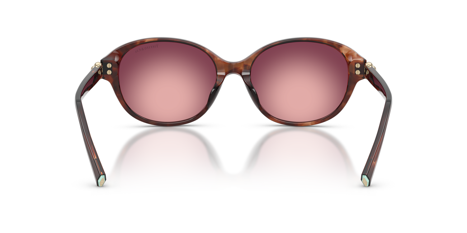 TIFFANY TF4263D 84218H 54