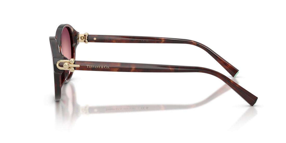 Lunettes de soleil tiffany tf4263d 84218h marron round femenina taille 54mm - Vue détaillée