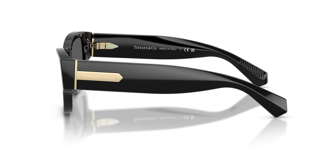 Lunettes de soleil tiffany tf4265u 8001s4 negro rectangular femenino taille 54mm - Vue détaillée