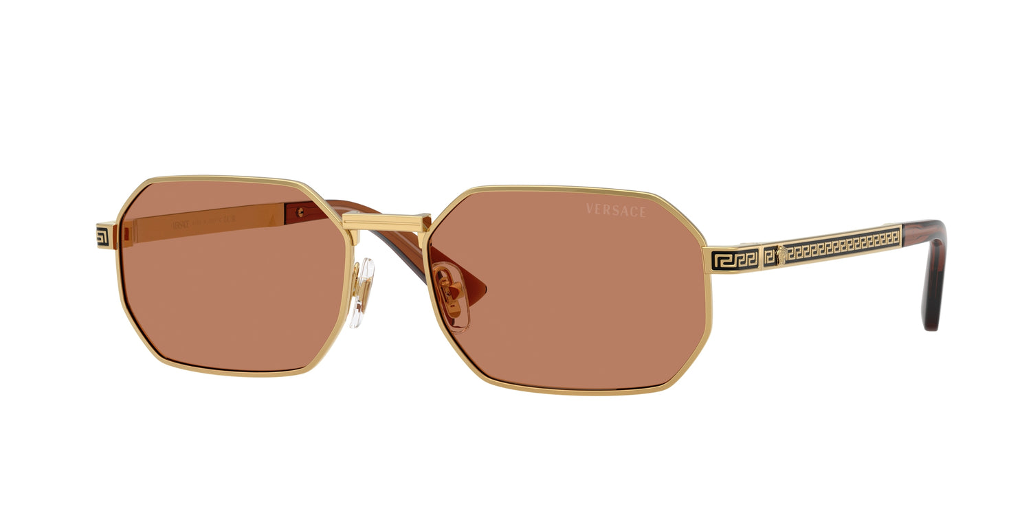 VERSACE VE2297 100273 54
