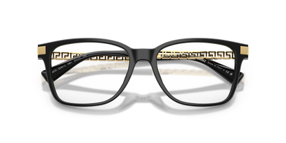 VERSACE VE3340U GB1 55