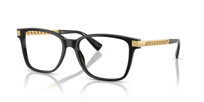 VERSACE VE3340U GB1 55