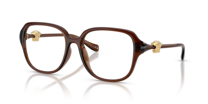 VERSACE VE3386D 5534 55