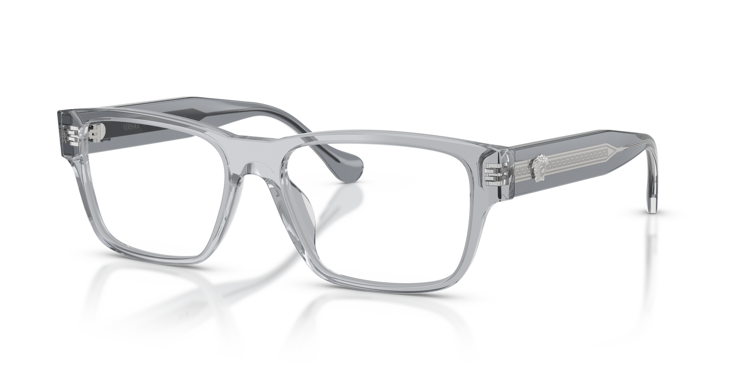 VERSACE VE3390U 5432 54