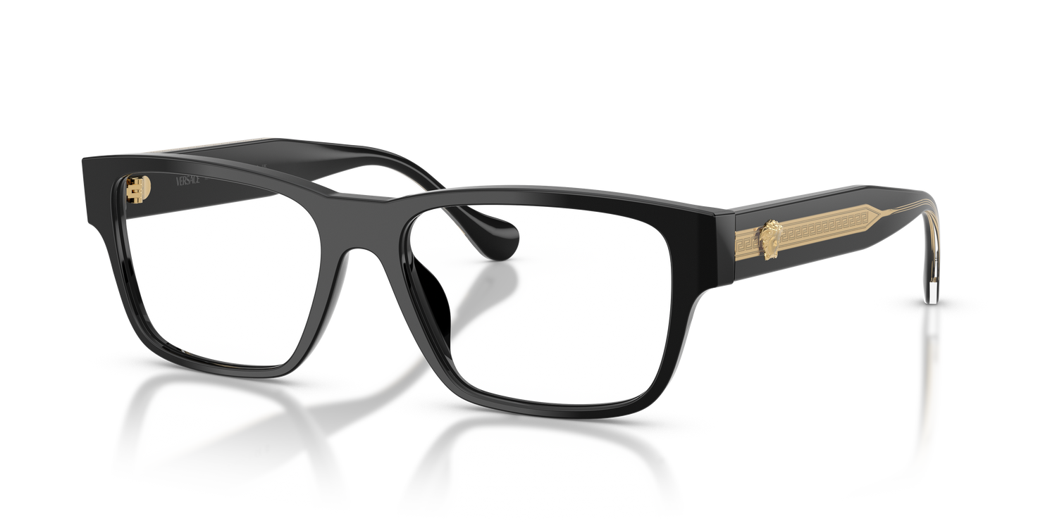 VERSACE VE3390U GB1 54