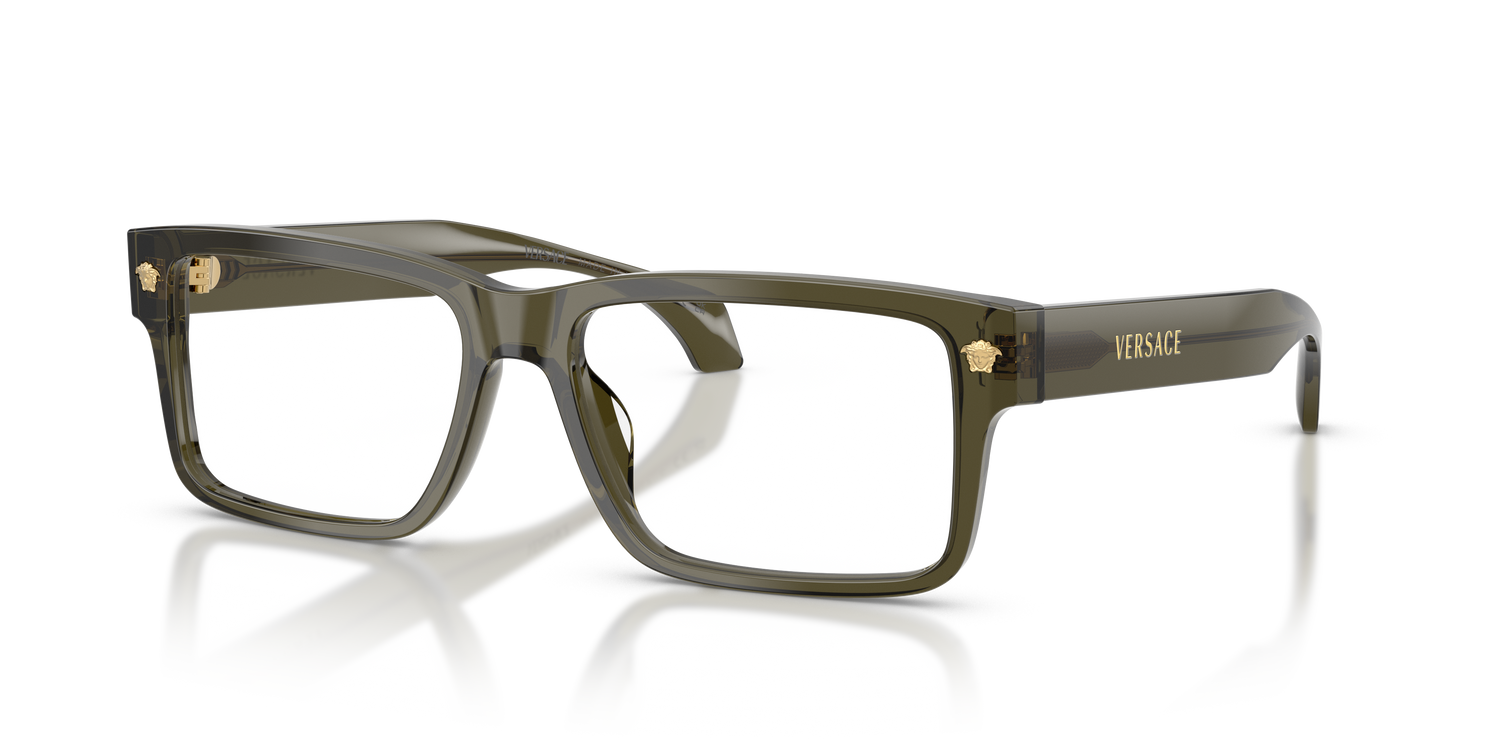 VERSACE VE3391U 5542 54