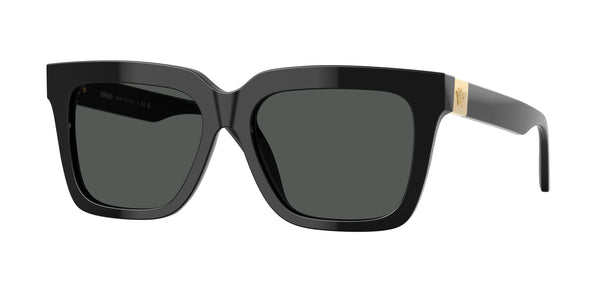 VERSACE VE4498 GB1/87 55