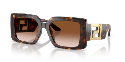 VERSACE VE4505U 108/13 55