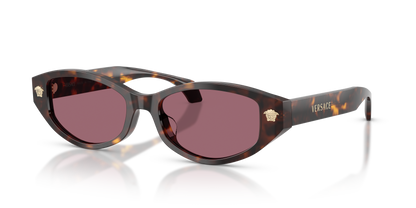 VERSACE VE4512D 108/1A 54