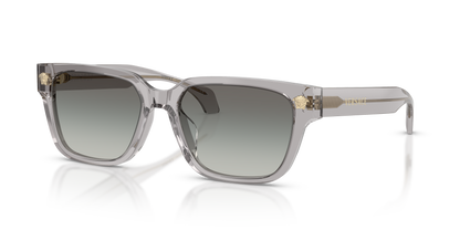 VERSACE VE4513D 593/11 56