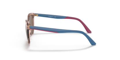 VOGUE EYEWEAR VJ2013 286473 46