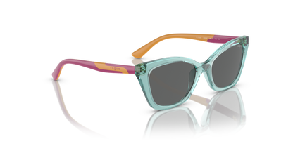 VOGUE EYEWEAR VJ2020 303287 48