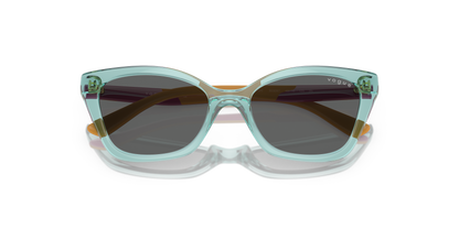 VOGUE EYEWEAR VJ2020 303287 48