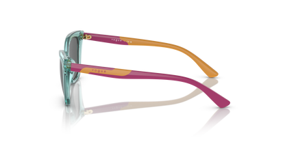 VOGUE EYEWEAR VJ2020 303287 48