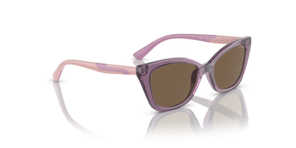 VOGUE EYEWEAR VJ2020 306473 48