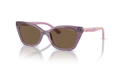 VOGUE EYEWEAR VJ2020 306473 48