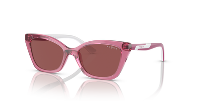 VOGUE EYEWEAR VJ2020 306569 48