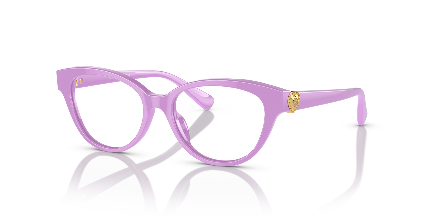 VERSACE VK3004 5424 48