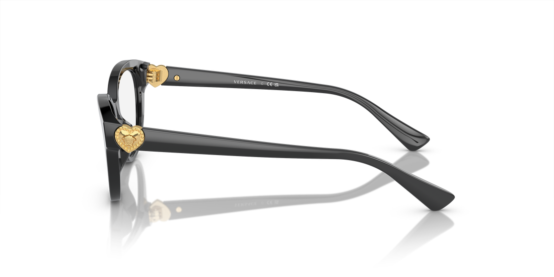 VERSACE VK3004 GB1 48