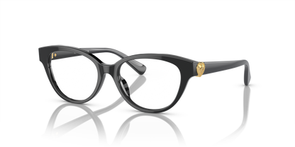 VERSACE VK3004 GB1 48