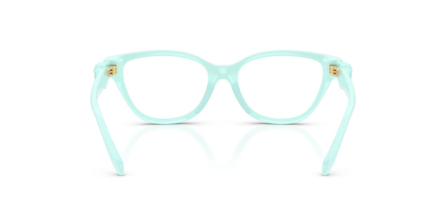 VERSACE VK3011U 5528 49