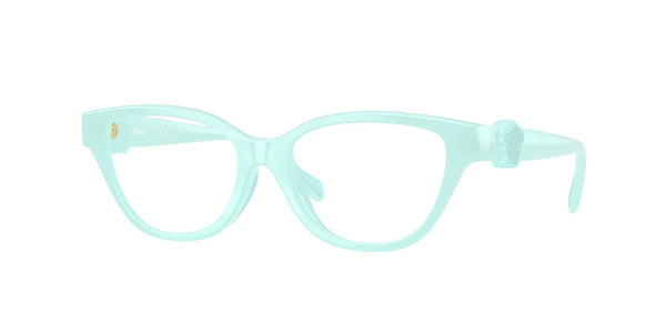 VERSACE VK3011U 5528 49