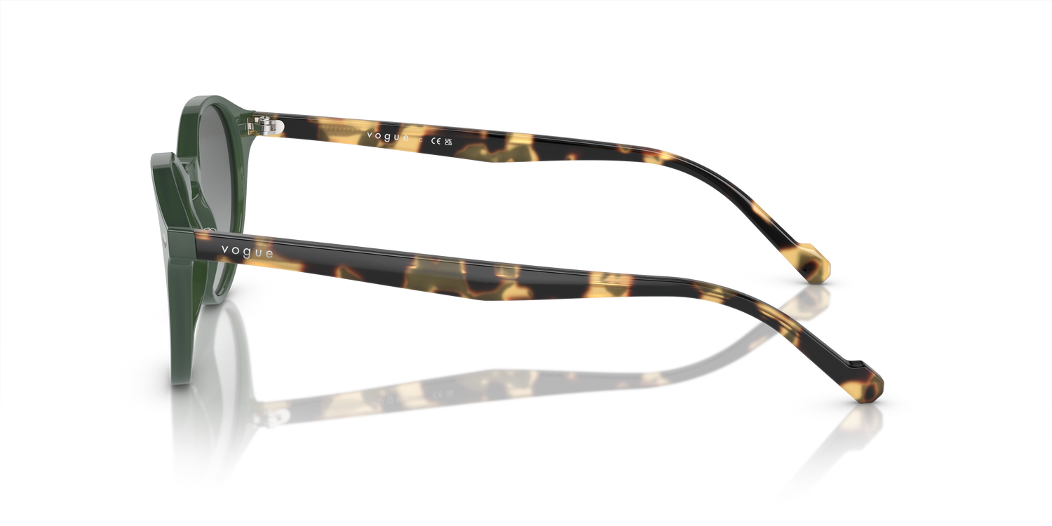 VOGUE EYEWEAR VO5327S 309211 48