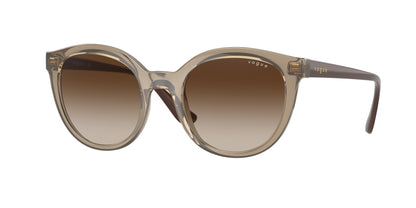 VOGUE EYEWEAR VO5427S 294013 50