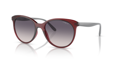 VOGUE EYEWEAR VO5453S 292436 53