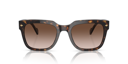 VOGUE EYEWEAR VO5490S W65613 54