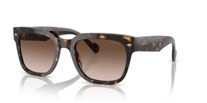 VOGUE EYEWEAR VO5490S W65613 54
