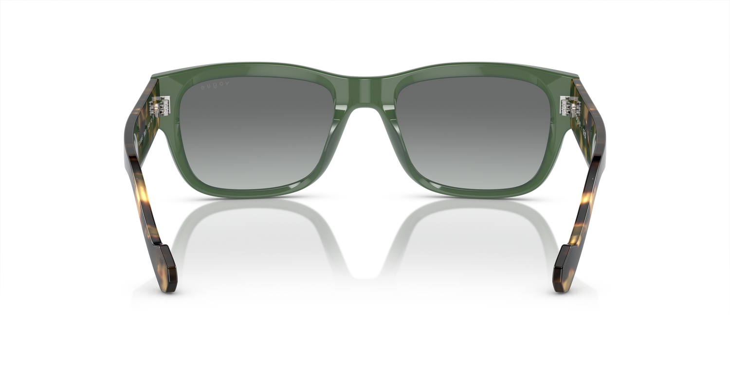 VOGUE EYEWEAR VO5530S 309211 55