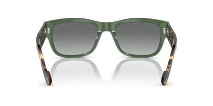 VOGUE EYEWEAR VO5530S 309211 55