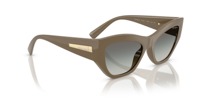 VOGUE EYEWEAR VO5607S 317511 53