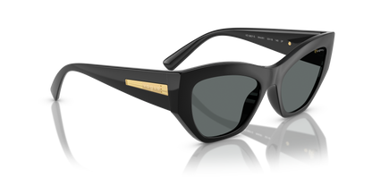 VOGUE EYEWEAR VO5607S W44/81 53