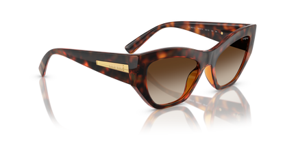 VOGUE EYEWEAR VO5607S W65613 53