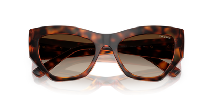 VOGUE EYEWEAR VO5607S W65613 53