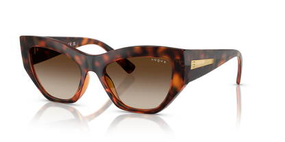 VOGUE EYEWEAR VO5607S W65613 53