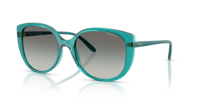 VOGUE EYEWEAR VO5623S 319111 55
