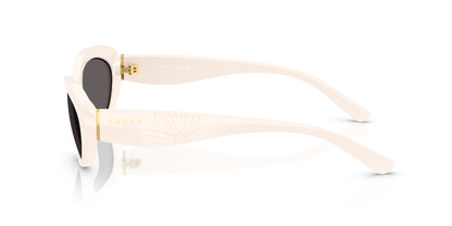 VOGUE EYEWEAR VO5630S 312487 55