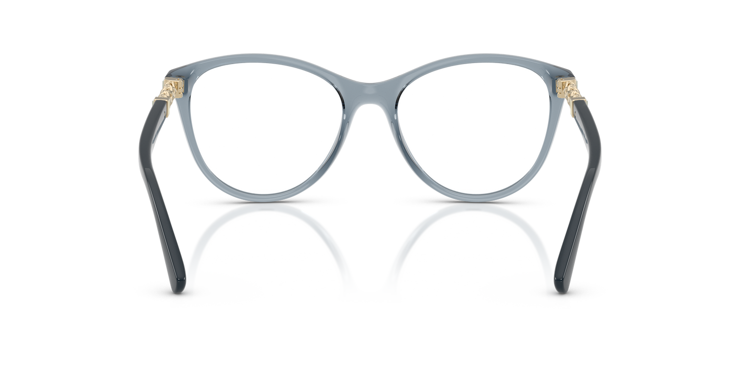 VOGUE EYEWEAR VO5631B 2966 53