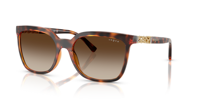 VOGUE EYEWEAR VO5633SB W65613 56